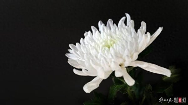 配资炒股最简单三个步骤 广东省原省长卢瑞华同志遗体在广州火化