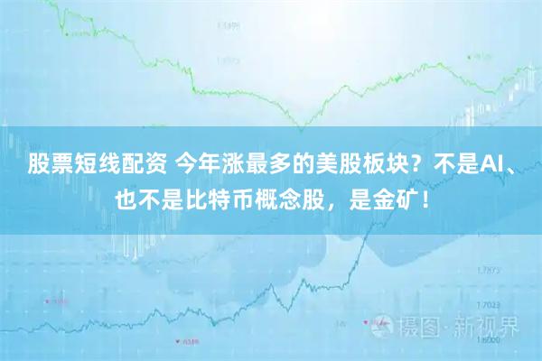 股票短线配资 今年涨最多的美股板块？不是AI、也不是比特币概念股，是金矿！